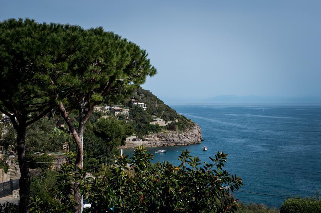 Marina Del Cantone Chalet 纳拉诺 外观 照片